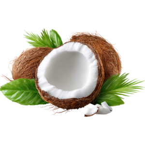 Coconut
