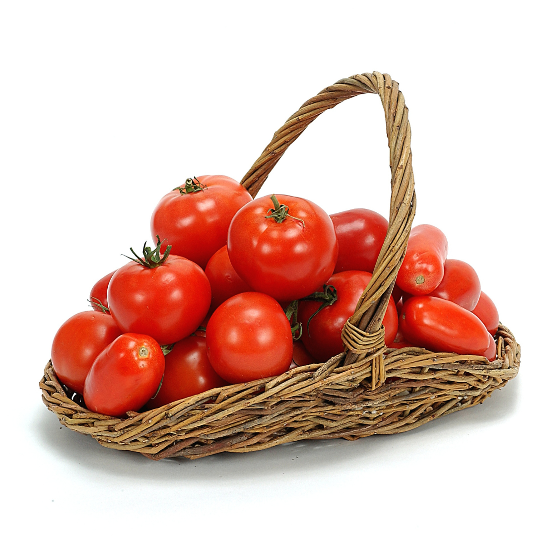 Tomato