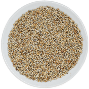 Pearl Millet (Bajra)