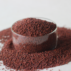 Finger Millet (Ragi)
